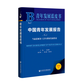 青年发展蓝皮书：中国青年发展报告No.5当前进城务工青年群体发展状况