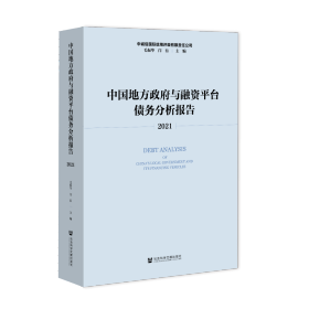 中国地方政府与融资平台债务分析报告（2021）