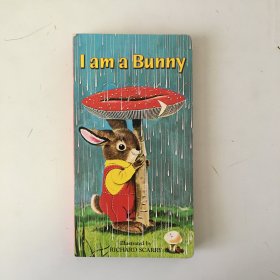 I Am A Bunny我是小兔子 英文原版