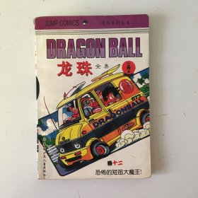 龙珠全集 珍藏本 卷12