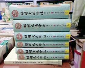 昭明文选译注（全六册）