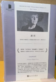 迷宫（俄罗斯国家奖、凯旋奖、普希金文学奖得主，当代短篇小说大师，独树一帜的女性声音）