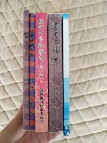 梅河口文史资料第十三辑—建言立论集