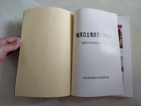 梅河口文史资料第二十辑—梅河口土地改革运动史料