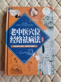 老中医穴位经络祛病法大全