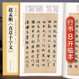 经典全集 赵孟頫洛神赋 中国历代经典碑帖 书法行书字帖真迹原大临摹小楷正楷书籍练字入门集字学生 杨建飞主编