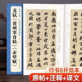 苏轼《黄州寒食帖》《赤壁赋》中国历代经典碑帖精选行书毛笔字帖书法临摹练字学习 中国美院出版社杨建飞主编