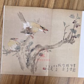 王雪涛册页精品 草虫花卉册+池园画册+鱼虫果蔬册+设色禽鸟册  全4册