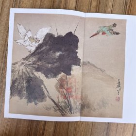 王雪涛册页精品 草虫花卉册+池园画册+鱼虫果蔬册+设色禽鸟册  全4册