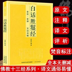 白话胜鬘经 全注全译文白对照注释译文简体易懂经文佛教文化经典丛书