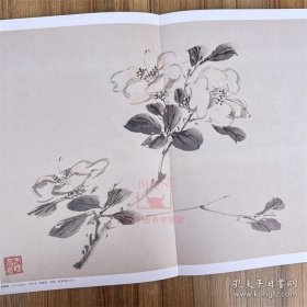 王雪涛册页精品 迟园画册 花鸟画国国画作品集