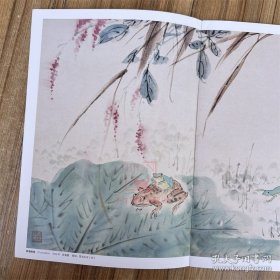 王雪涛册页精品 迟园画册 花鸟画国国画作品集