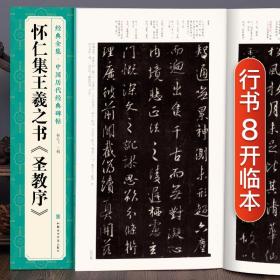 经典全集 怀仁集王羲之书《圣教序》行书字帖 中国历代经典碑帖临摹范本书法小楷书籍草书描红放大教程练字入门集字 杨建飞主编