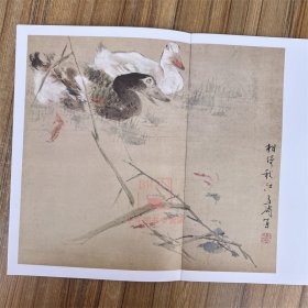 王雪涛册页精品 设色禽鸟册