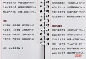 柳公权楷书集字春联 字卡经典碑帖近距离临摹练字卡陈锋编