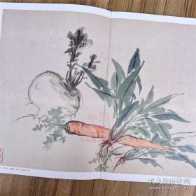 王雪涛册页精品 迟园画册 花鸟画国国画作品集