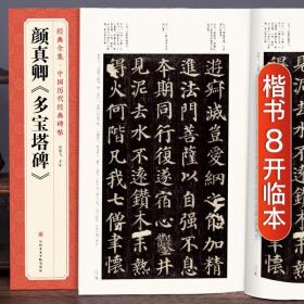 经典全集 颜真卿 多宝塔碑 字帖 中国历代原碑帖拓本正楷书法毛笔临摹初学者入门范本放大练字版教程