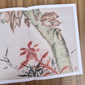 王雪涛册页精品 迟园画册 花鸟画国国画作品集