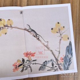 王雪涛册页精品 迟园画册 花鸟画国国画作品集