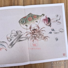 王雪涛册页精品 迟园画册 花鸟画国国画作品集