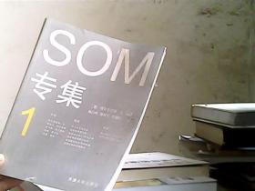 SOM专集1