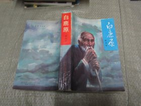 白鹿原（1993年6月一版，93年7月第2次印刷）自然旧，品相见图，品相好