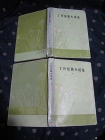 丁玲短篇小说选 上下两册 布面精装本，有护套