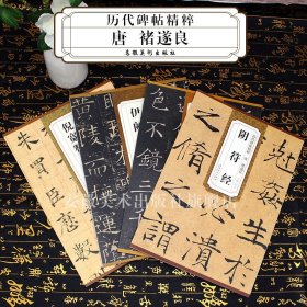 【原版闪电发货】4本历代碑帖精粹 唐 褚遂良 阴符经 雁塔圣教序 伊阙佛龛碑 倪宽赞孟法师碑 简体旁注 楷书毛笔书法字帖