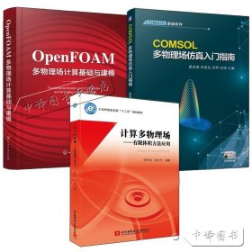 COMSOL Multiphysics工程实践与理论仿真：多物理场数值分析技术