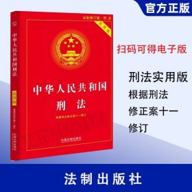 中华人民共和国刑法（实用版）（根据刑法修正案十一修订）