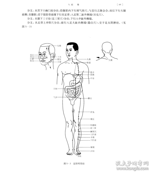 中医基础理论