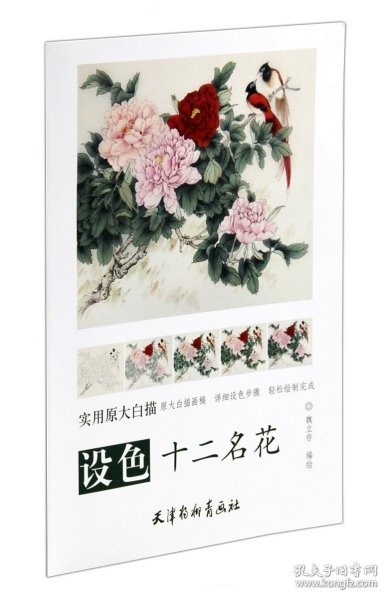 【原版闪电发货】设色十二名花 实用原大白描 魏立存编绘  天津杨柳青画社 工笔花鸟花卉画线描稿 详细设色步骤 临摹范本 国画技法 正品