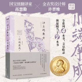 美与执念：美得窒息文字4册套装