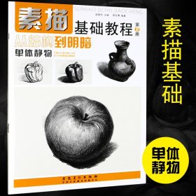 【原版闪电发货】素描基础教程从结构到明暗2单体静物素描书入门自学素描的诀窍零基础结构素描书静物素描石膏几何体绘画入门美术教材