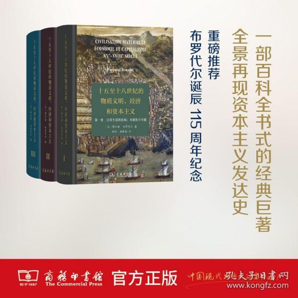 十五至十八世纪的物质文明、经济和资本主义（第一卷 日常生活的结构：可能和不可能）