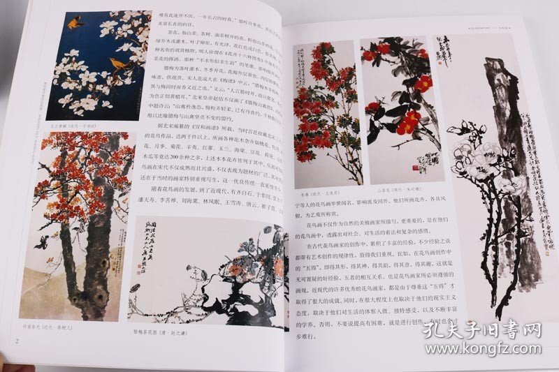 【正版现货闪电发货】贾宝珉写意花鸟画谱 木本篇 贾德江 国画技法参考木兰辛夷月季木棉茶花腊梅画法精讲学习临摹创作图例 北京工艺美术出版社