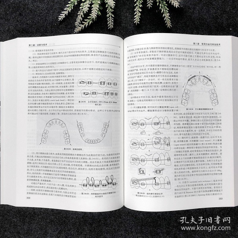 【原版闪电发货】口腔正畸学基础技术与临床供口腔正畸医师研究生进修生用9787117157766人民卫生出版社WX