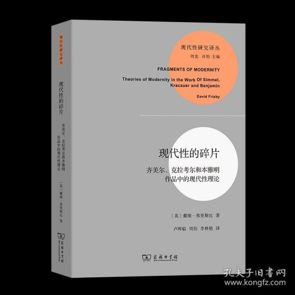 现代性的碎片：齐美尔、克拉考尔和本雅明作品中的现代性理论