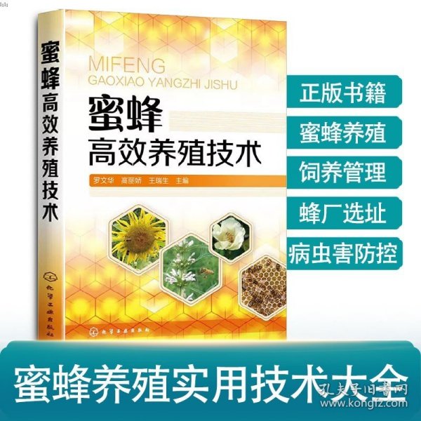 【原版闪电发货】中蜂高效养殖技术一本通 养蜂书籍大全蜜蜂中蜂养殖技术大全 养蜂技术专业指导书 中蜂病虫害及防治技术 蜜蜂饲养原理与方法HG