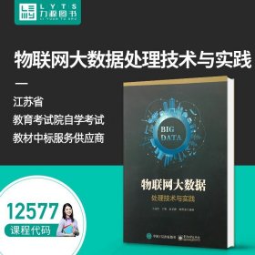 物联网大数据处理技术与实践