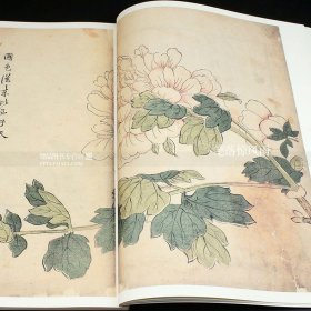 【原版闪电发货】芥子园画谱画传 康熙原版花鸟卷翎毛花卉谱上下2本 国画绘画技法 花鸟画国画技法 清王概王蓍王臬编 芥子园画谱安徽美术出版