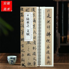 【正版现货闪电发货】【3册全文】陆柬之 文赋 经典碑帖临摹卡 近距离临摹字卡 行书书法毛笔练字帖 原碑原帖附简体旁注 安徽美术出版社