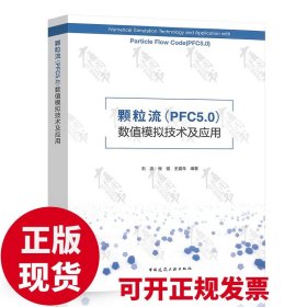 颗粒流（PFC5.0）数值模拟技术及应用