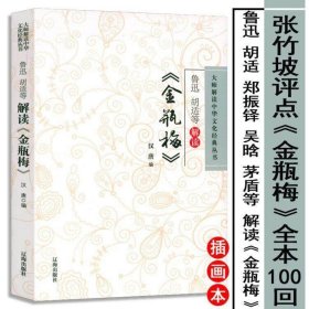 【原版闪电发货】张竹坡鲁迅等名家解读金瓶梅书籍