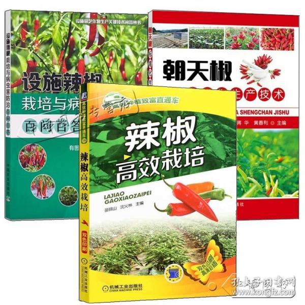 云南高原特色农业系列丛书：鲜切花栽培技术