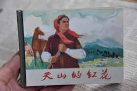 上美小精连环画 天山上的红花（柜2-1）