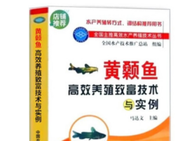 黄颡鱼养殖技术大全2视频4书籍