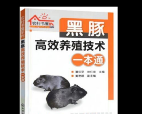 黑豚鼠养殖技术大全黑豚饲养技术疾病防治3光盘2本书籍