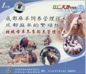 麻羊养殖技术饲养技术麻羊繁育羊病防治4视频2本书籍