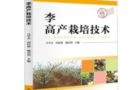 李树种植技术大全李种植栽培早熟李子树种植技术教程3光盘3本书籍